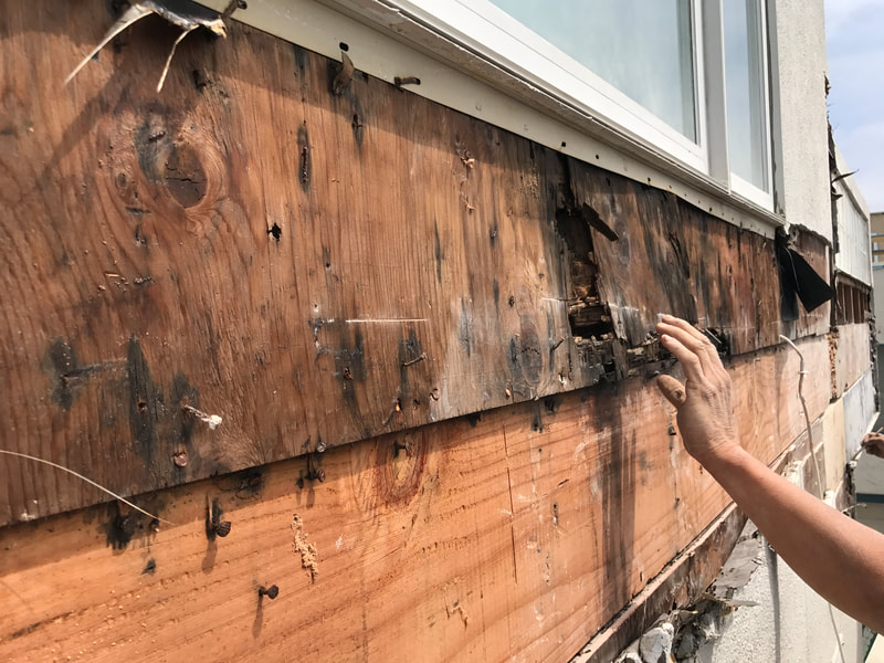Beam Replacement - Rotten Wood Image 